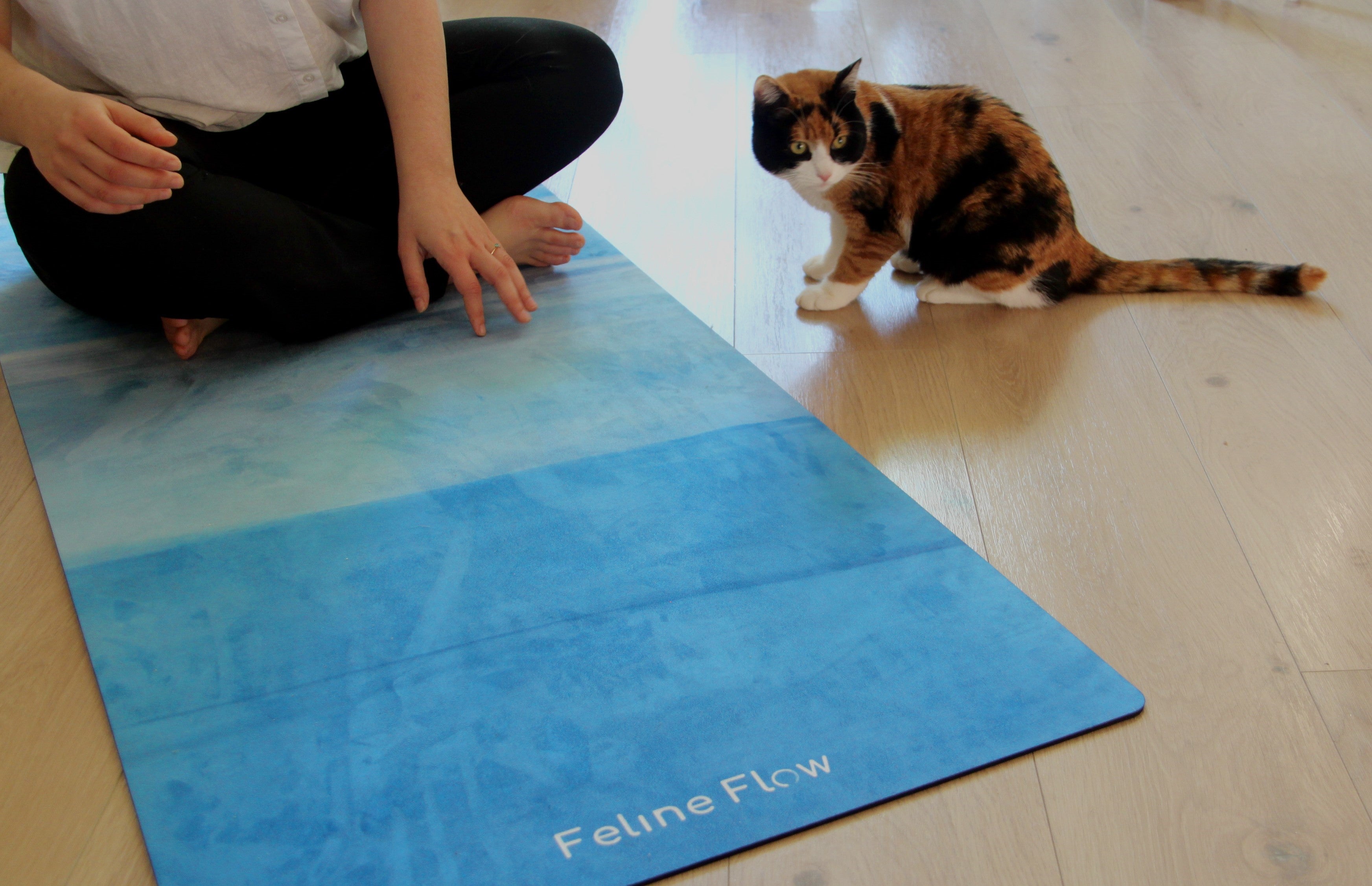 Feline Flow cat proof yoga exercise mats