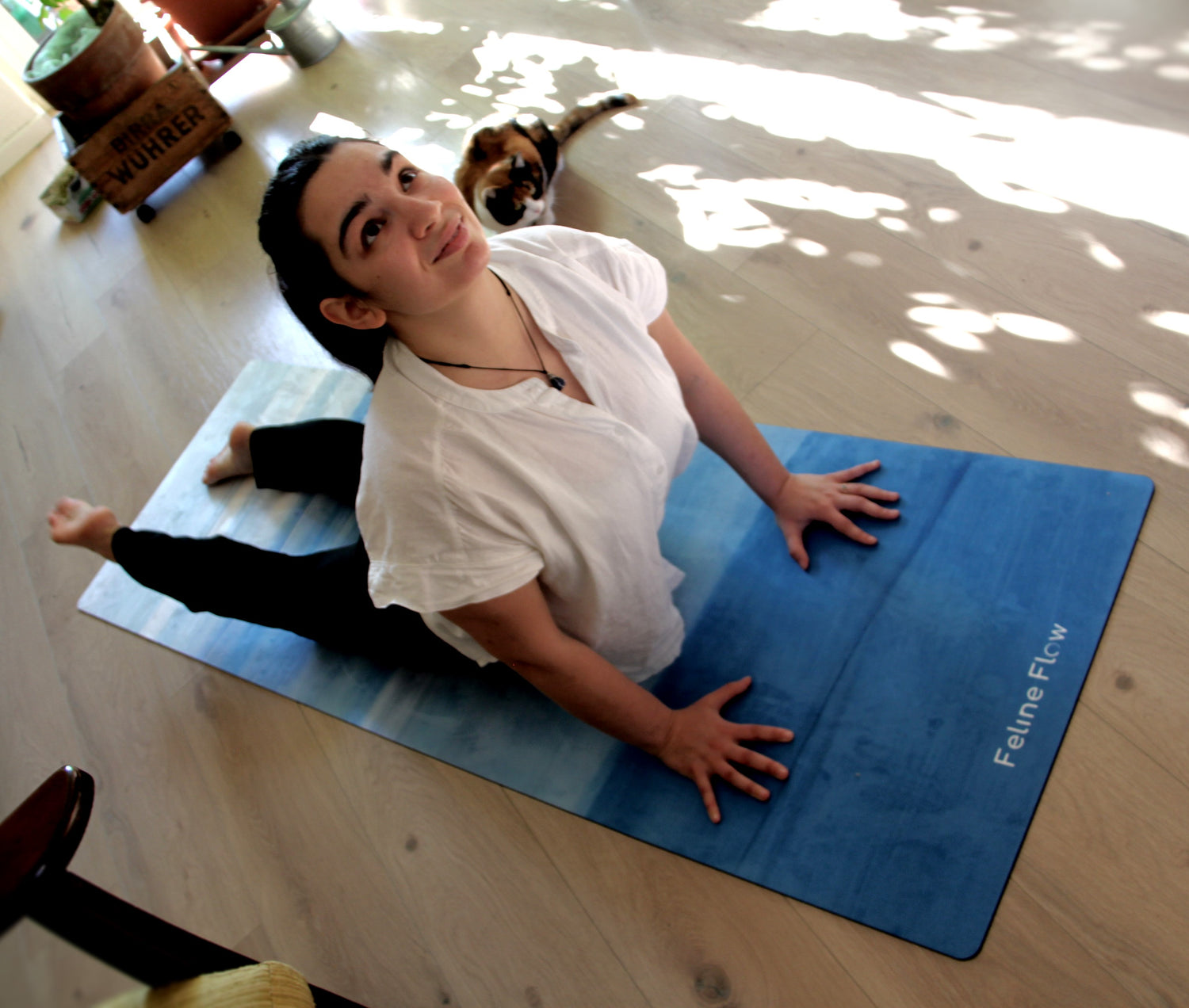 female stretching on blue yoga mat cat nearby watching living room wooden floor
